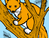 Coloring page Pine marten in tree painted bynatalie