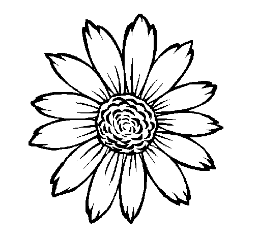Coloring page Sunflower painted bysirrobb