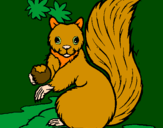 Coloring page Squirrel painted byDucky The Duck