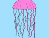 Coloring page Jellyfish painted bybrad