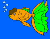Coloring page Tancho fish painted byandre