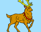 Coloring page Stag painted bypere