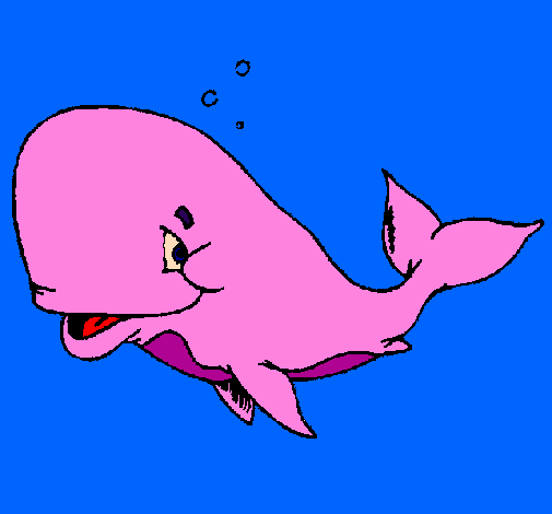 Bashful whale