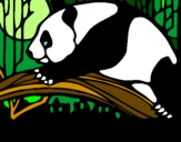 Coloring page Panda eating painted byMatilde Mannil