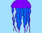 Coloring page Jellyfish painted bycharlotte