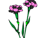 Coloring page Carnations painted byvanessa