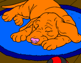 Coloring page Sleeping dog painted byemily