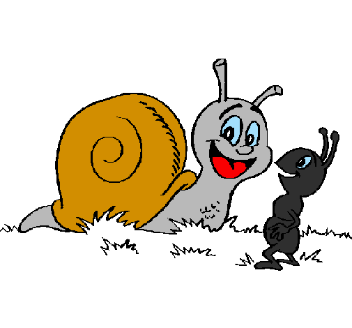 Snail and ant