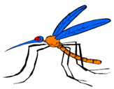 Coloring page Mosquito painted bybrandon cress