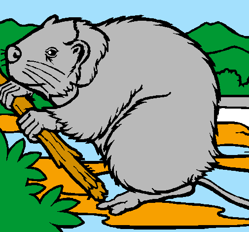 Coloring page Beaver  painted byMarga