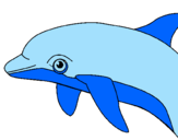Coloring page Dolphin painted byRyla