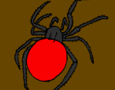 Coloring page Poisonous spider painted byana