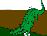 Coloring page Alligator entering water painted byCOLE K.
