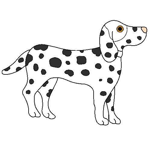 Dalmatian