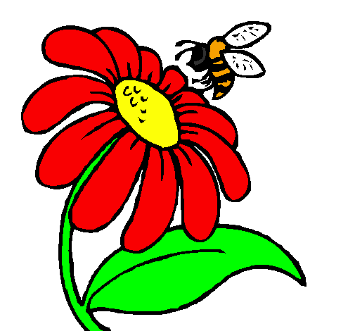 Daisy with bee