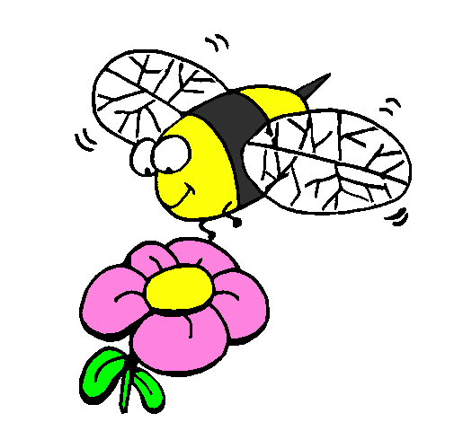 Wasp and flower