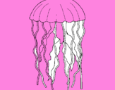 Coloring page Jellyfish painted bytibus
