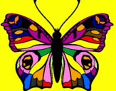 Coloring page Butterfly painted byadamia