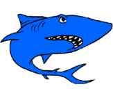 Coloring page Shark painted byMAXIMO