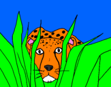 Coloring page Cheetah painted byrodolfo