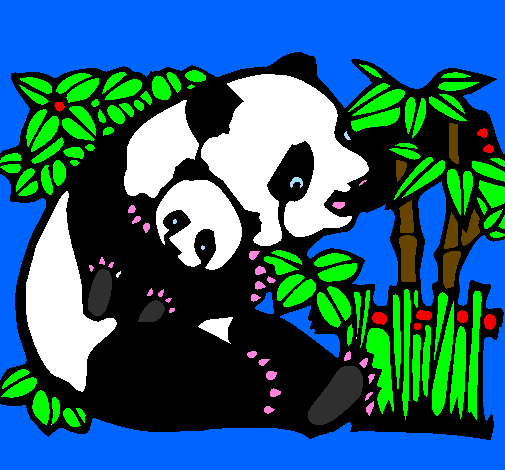 Panda mother