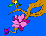 Coloring page Almond flower painted byPhoebe