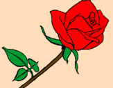 Coloring page Rose painted byRosalea
