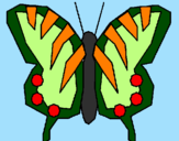 Coloring page Butterfly painted byMarga