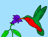 Coloring page Hummingbird and flower painted byitziar