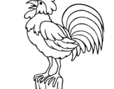 Coloring page Cock singing painted byyuan