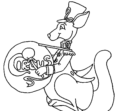 Kangaroo with drum