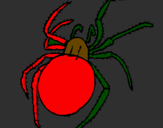 Coloring page Poisonous spider painted bylivan