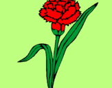 Coloring page Carnation painted byMarga