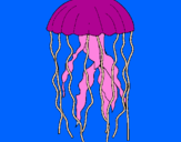 Coloring page Jellyfish painted byHolly