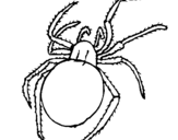 Coloring page Poisonous spider painted bylll