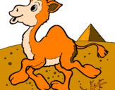 Coloring page Camel painted byalex