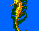 Coloring page Oriental sea horse painted byHolly