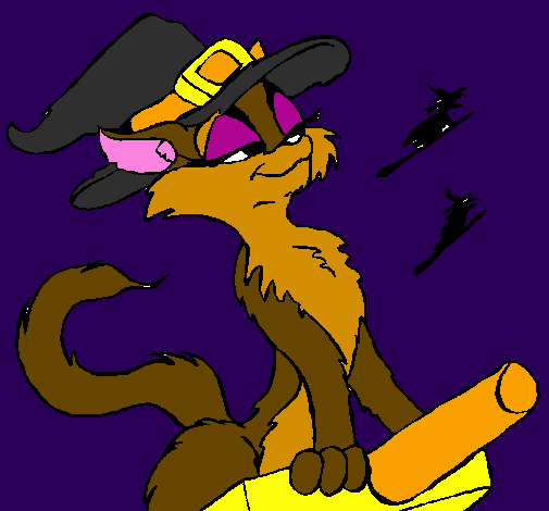 Witch cat