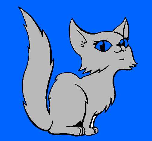 Female Persian cat