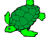 Coloring page Turtle painted bypeace