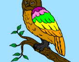 Coloring page Barn owl painted byMarga