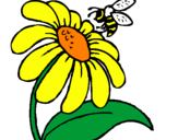 Coloring page Daisy with bee painted bymari