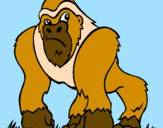 Coloring page Gorilla painted byachier