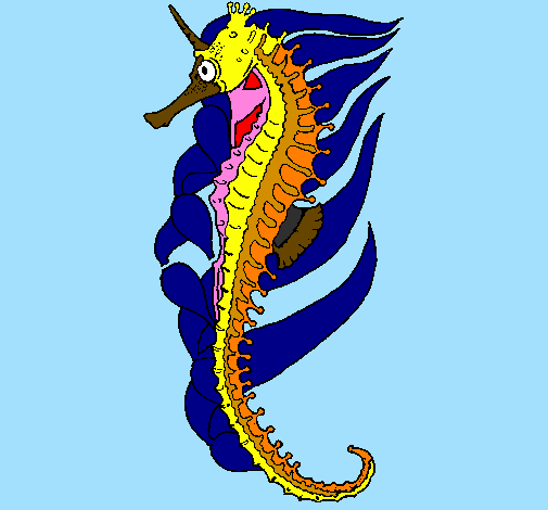 Oriental sea horse