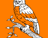 Coloring page Barn owl painted bycamille34