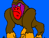 Coloring page Gorilla painted byElias.