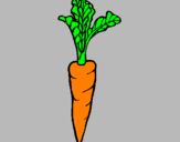 Coloring page carrot painted byMarga