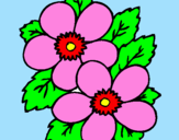 Coloring page Flowers painted bylolita