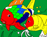 Coloring page Fish painted bynikki