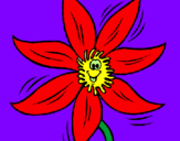 Coloring page Flower painted bykatia